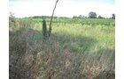 Property photo 18 - 110+/- Acres offered in 4 Tillable Tracts